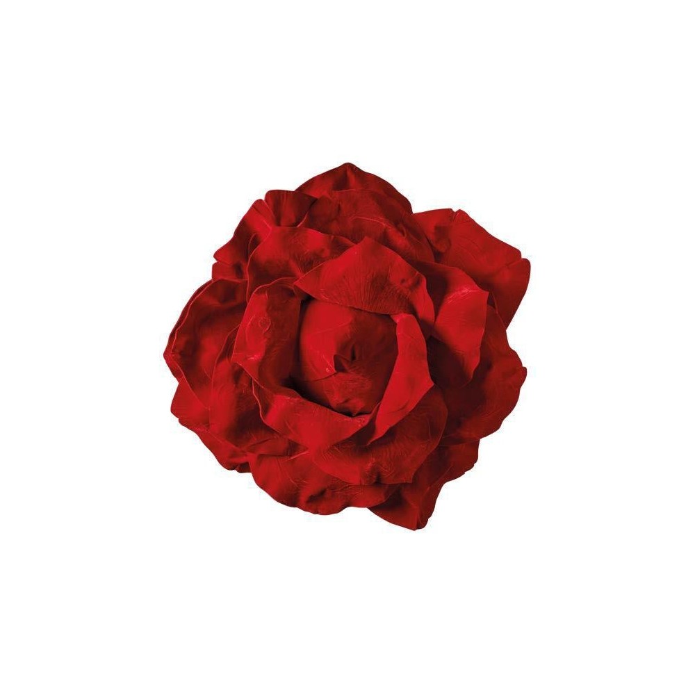 TESTA ROSA 757536 CM - ROSSO